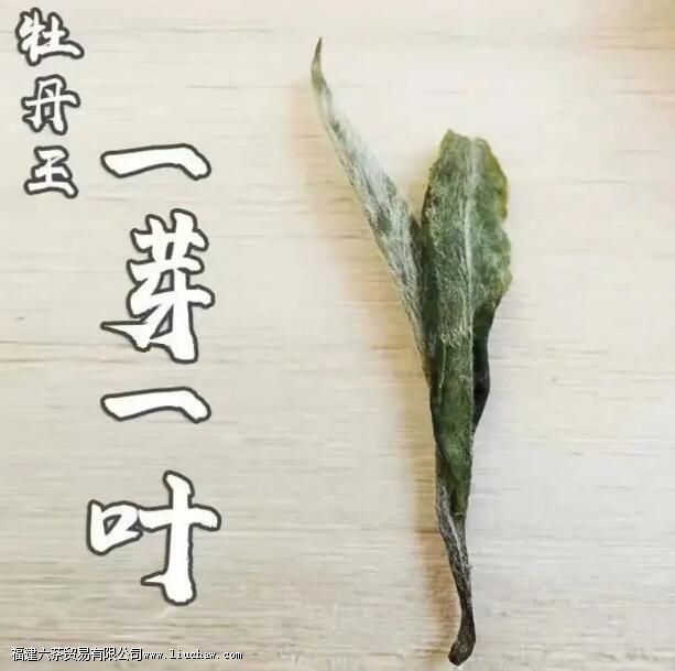 ĵ�����ײ��ص�