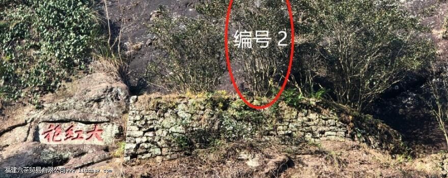 ���ֲ�������Ҳ�֮�ף��С�����֮����������