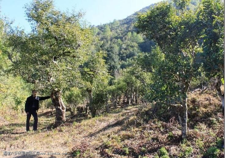 �ϰ���̬�ն�������Щ�ص�