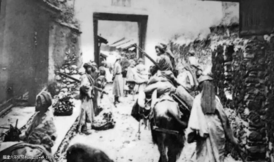 ��·�߲����·�߲������