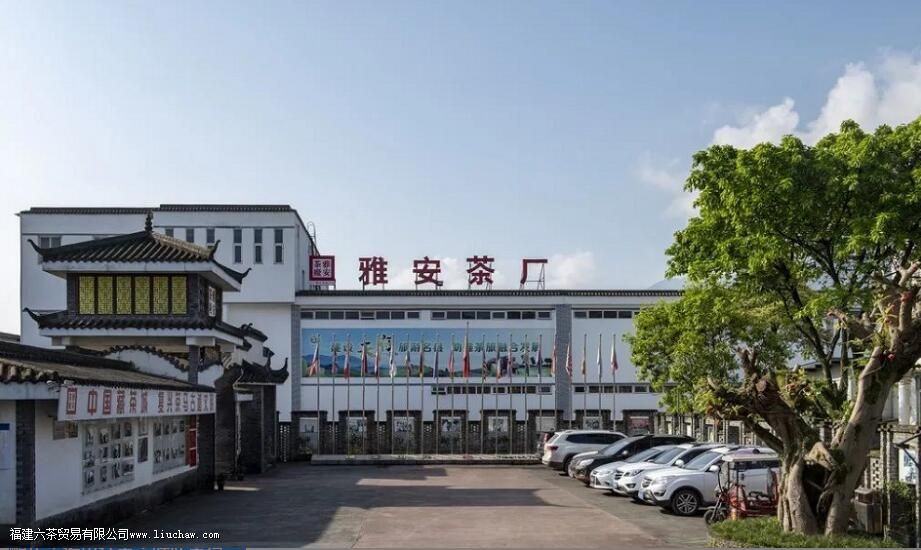 ��·�߲����·�߲������