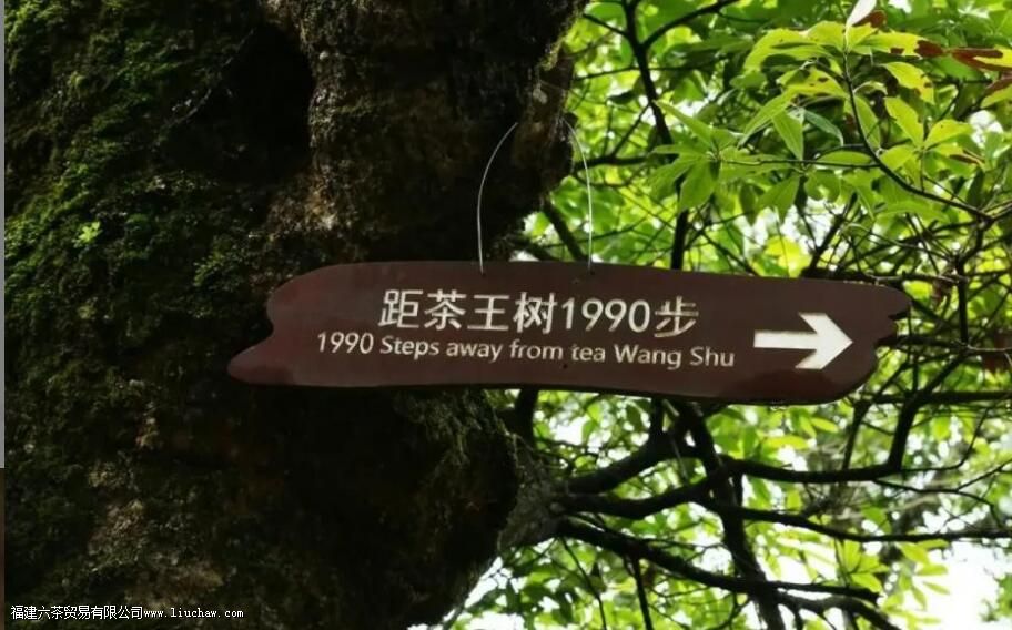 ��Ŵɽ����Щ�ն���կ��