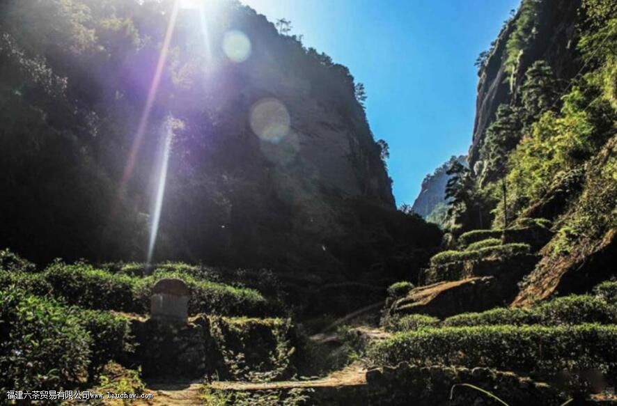 ţ����������ʲô�ص�