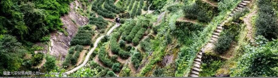 牛栏坑为什么叫牛栏坑 牛栏坑为什么叫牛栏坑