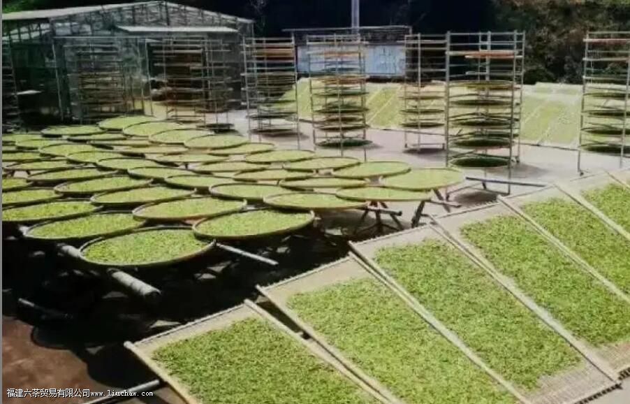 �ݲ�Ϊʲô���ɬ