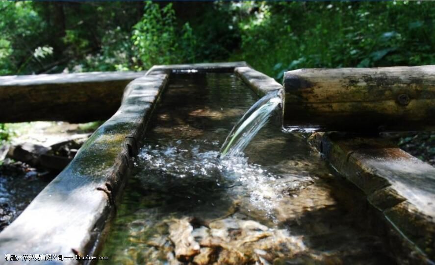 泡茶用纯净水还是矿泉水好,很多人都错了 泡茶用纯净水还是矿泉水好,很多人都错了