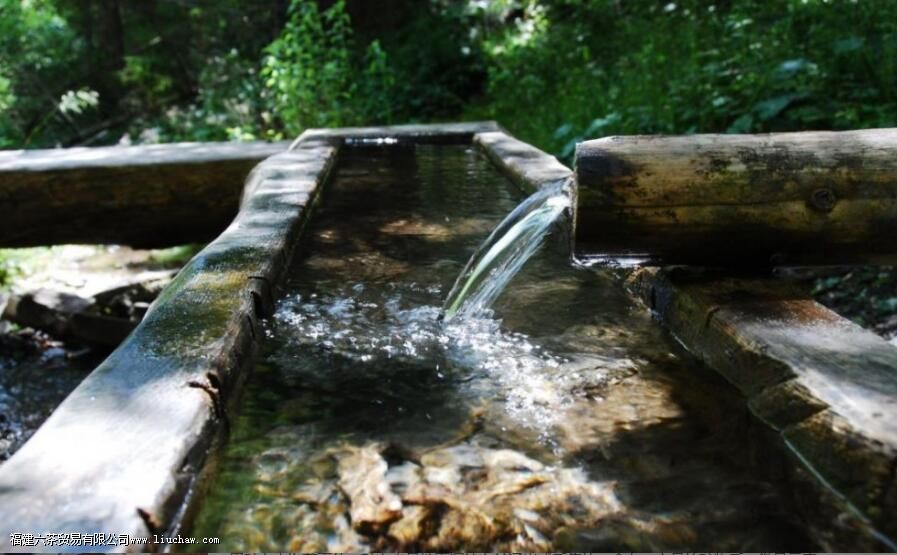 泡茶用纯净水好,还是矿泉水好 泡茶用纯净水好,还是矿泉水好