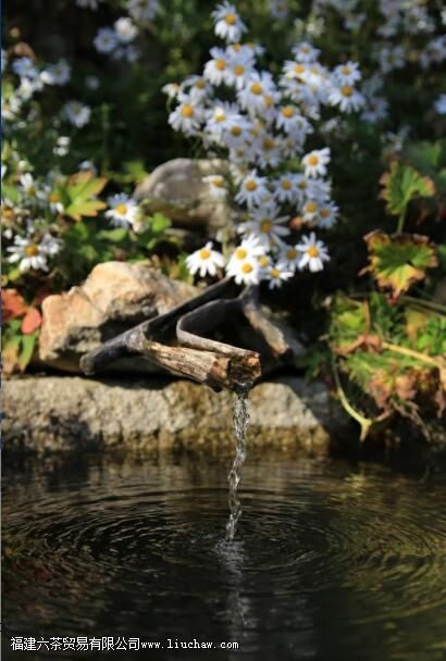 �ݲ���ˮ�������������Ҫ����ʲô���� - �ǲ���