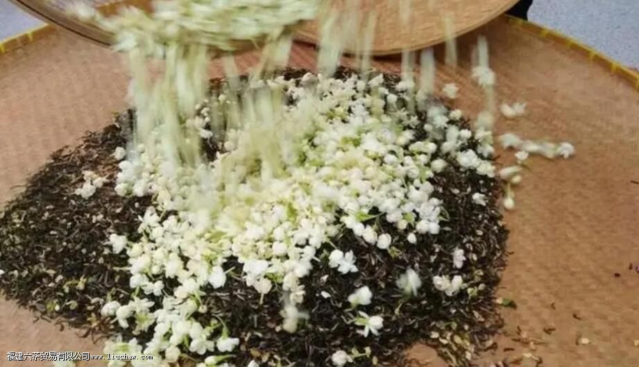 Ʈѩ������ʲô��