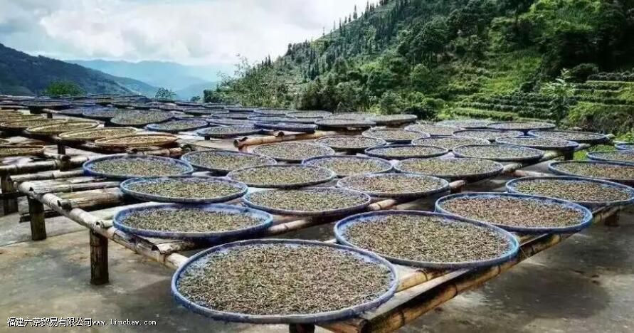 ƴ���ĺô���ʲô