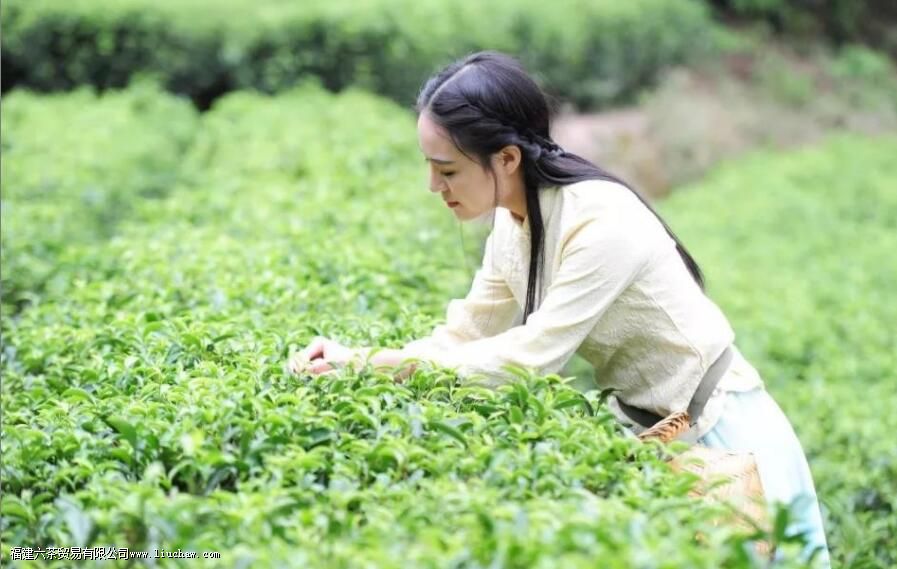 Ʒζ������������û�������