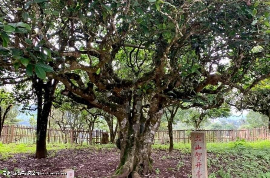 �ն��谴�����̬����Ϊ��Щ��