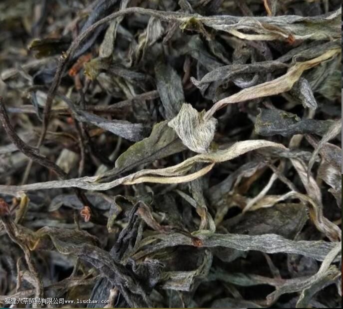 �ն��贺�����Ĳ���������ͶԱ�