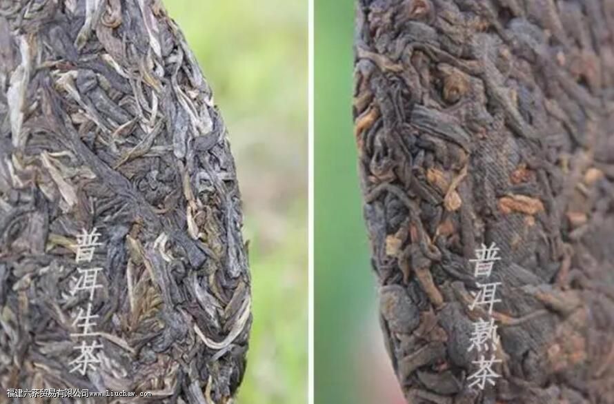 �ն�������ʲô