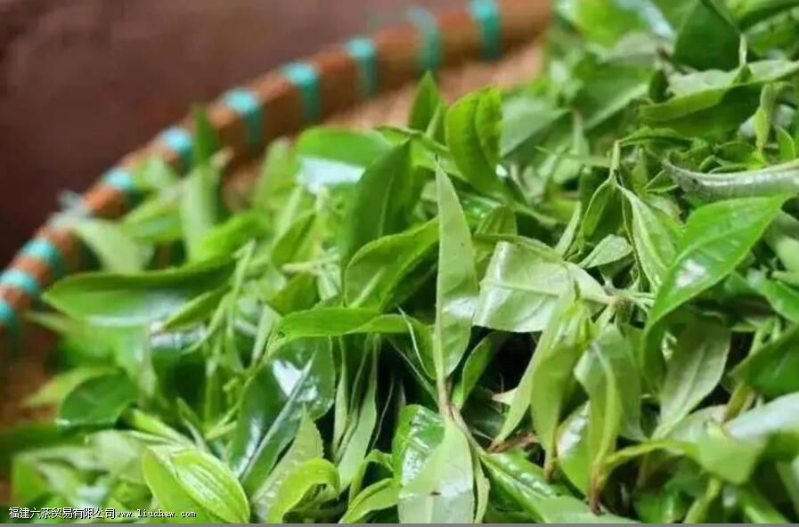 �ն���ɹ���˻�칣ô