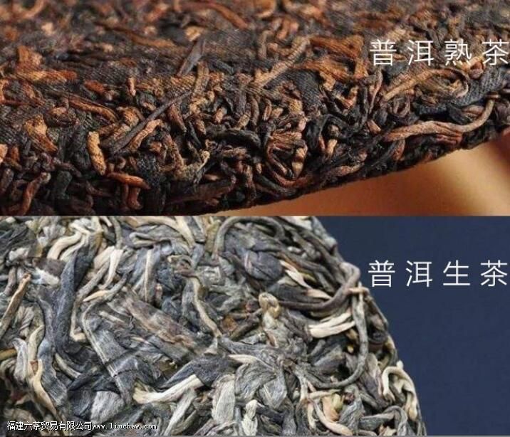 普洱茶是红茶吗 普洱茶是红茶吗