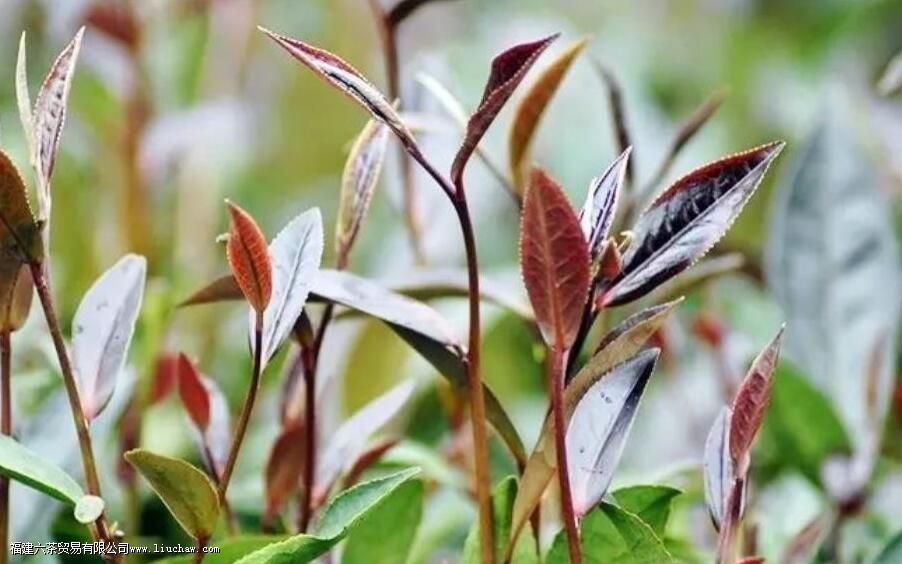 �ն����Ͼ���ص�Ϳڸ�