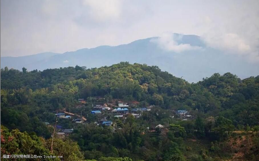 �ն��Ų�԰��һ�����ĸ�