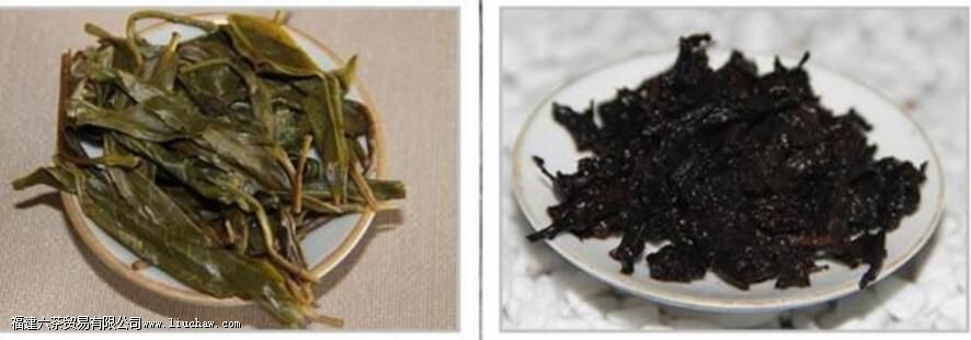 �ն�����ż�����ܱ������ ������