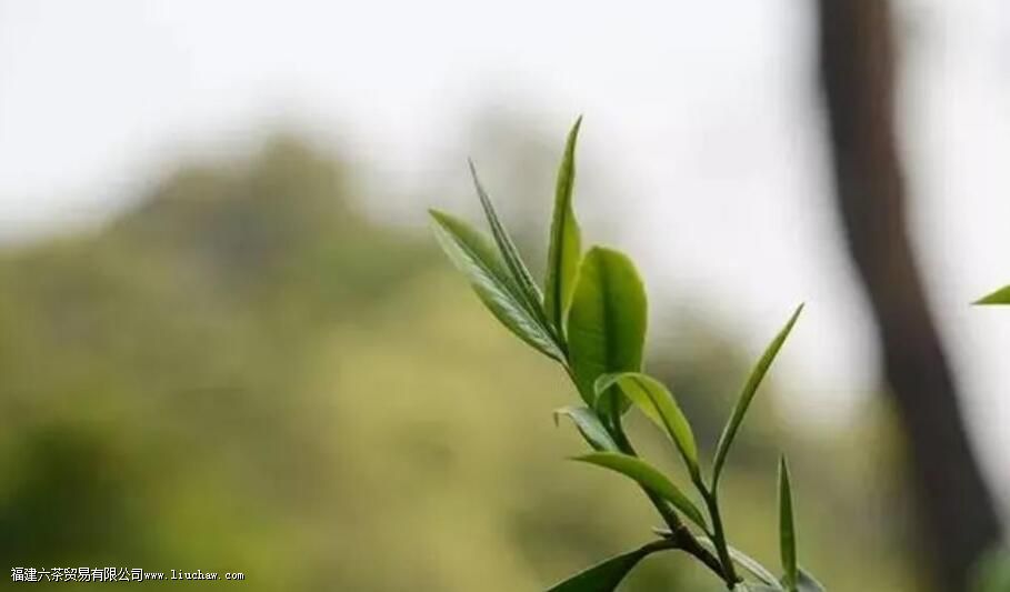 �ն�����������ʲô���𣬿������������