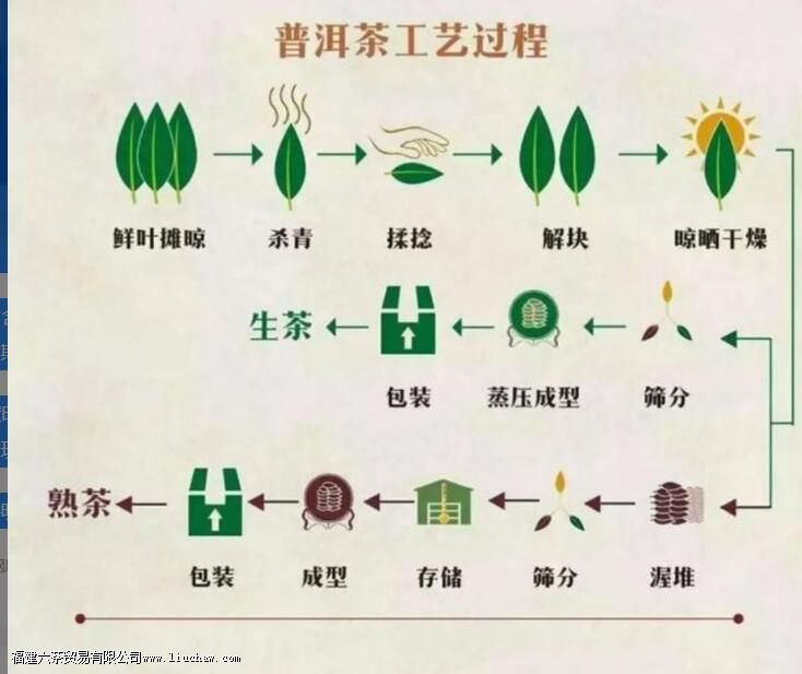 �ն�����������ʲô���𣬿������������