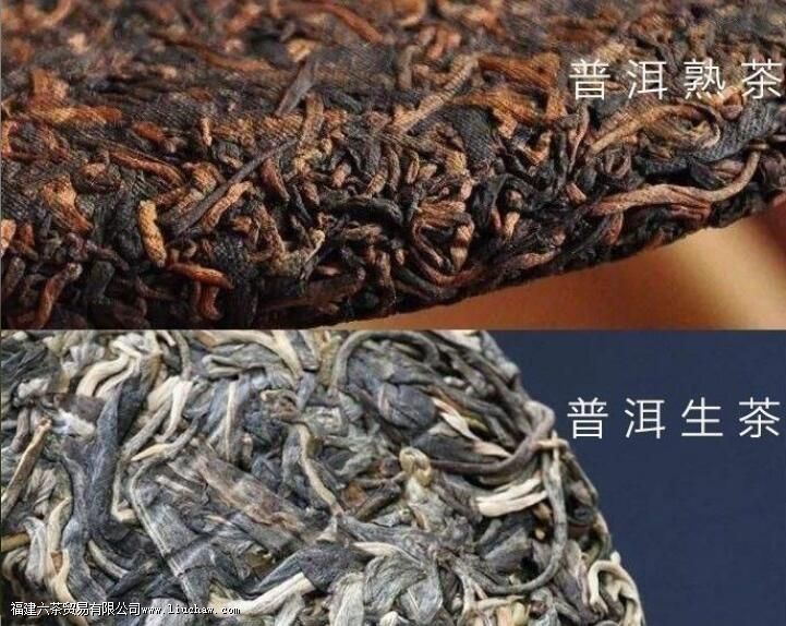 �ն�����������ʲô���𣬿������������