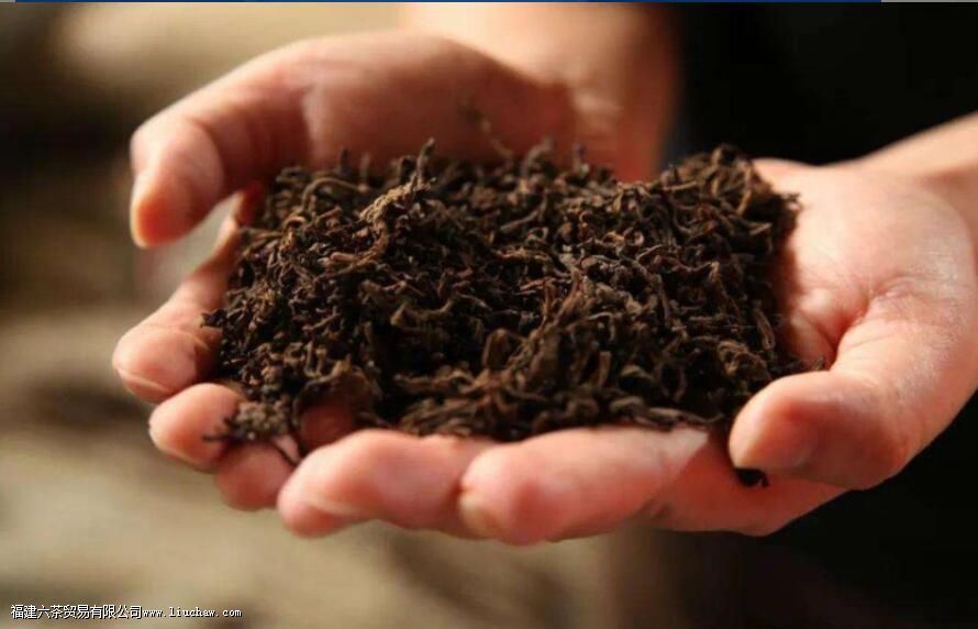 普洱熟茶的陈香味和樟香味解析 普洱熟茶的陈香味和樟香味解析