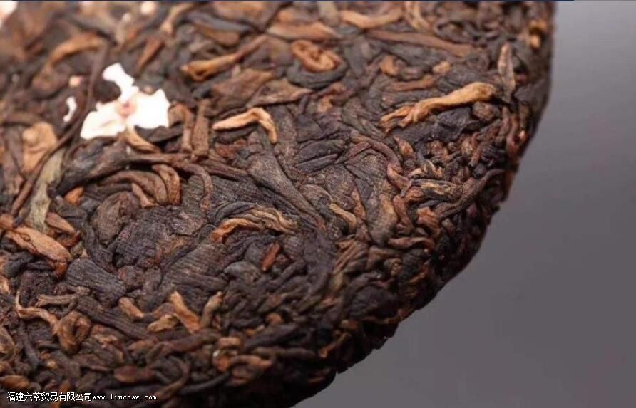 普洱熟茶的陈香味和樟香味解析 普洱熟茶的陈香味和樟香味解析