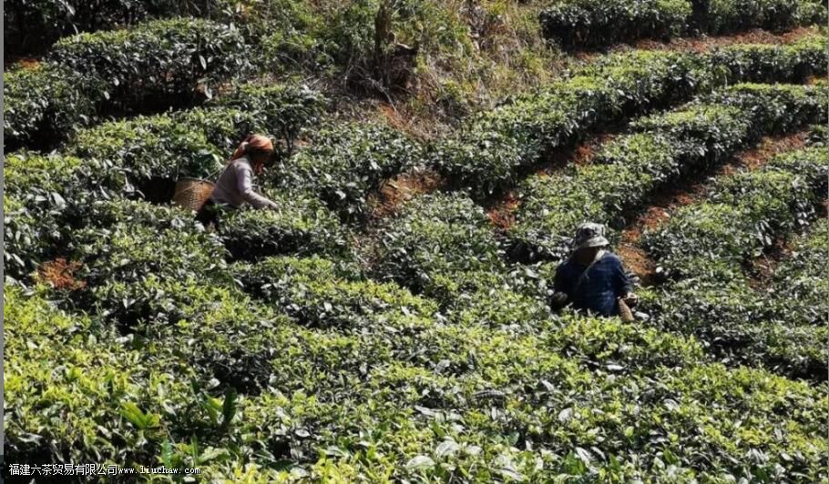 �ն�̨�ز�͹����������