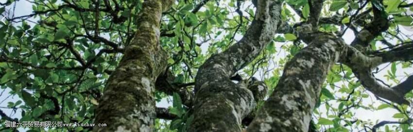 �ն�̨�ز�͹����������