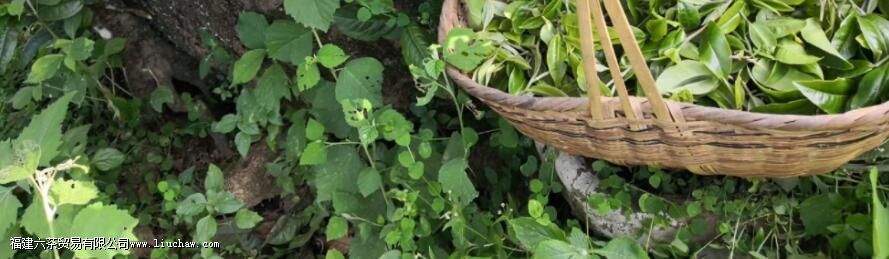 �ն�̨�ز�͹����������