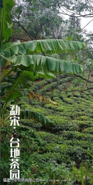 �ն�̨�ز�͹����������