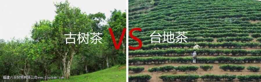 �ն�̨�ز�͹����������