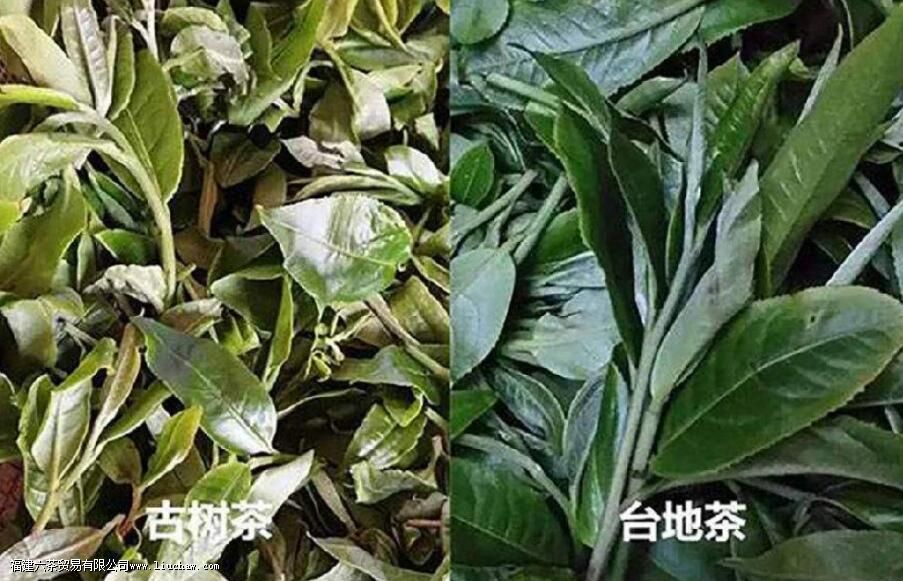 �ն�̨�ز�͹����������