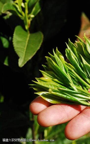 ���ź������