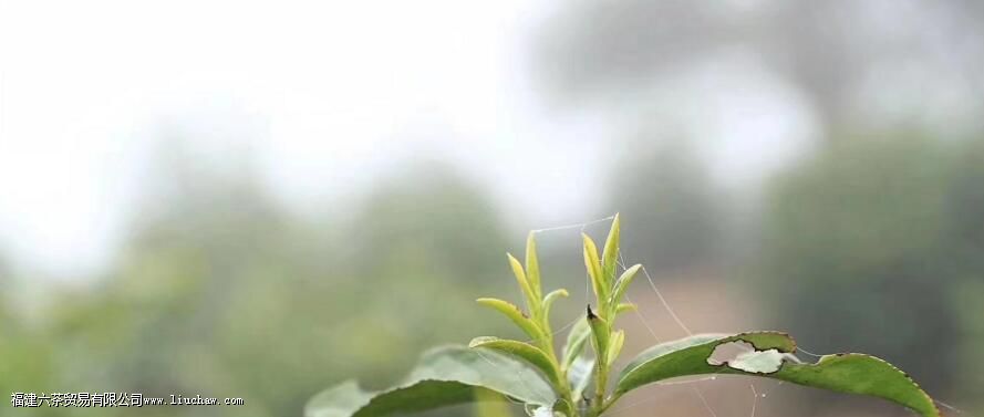 ���ź������