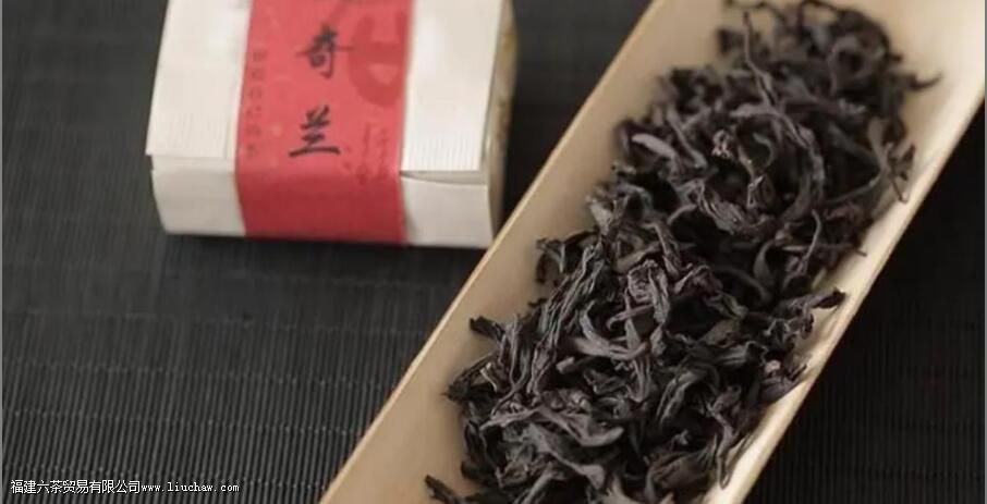 奇兰是什么茶 奇兰是什么茶