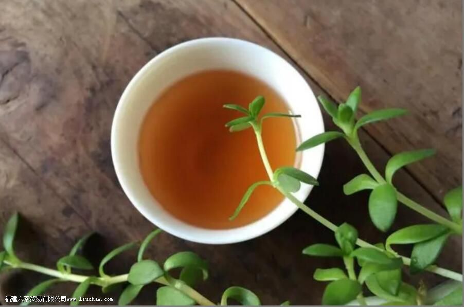 奇兰是什么茶 奇兰是什么茶