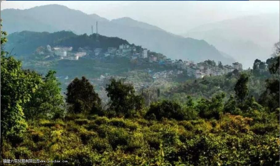 ǧ��կ�ն�����ʲô�ص�