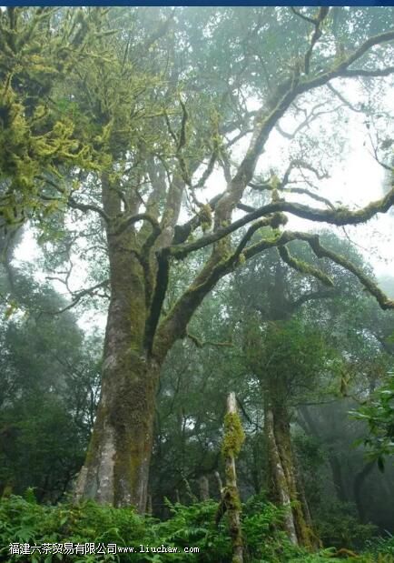 ǧ��կ�ն�����ʲô�ص�