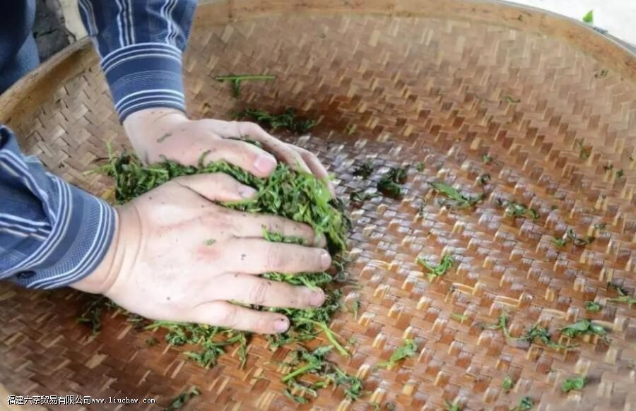 青茶为什么叫青茶 青茶为什么叫青茶