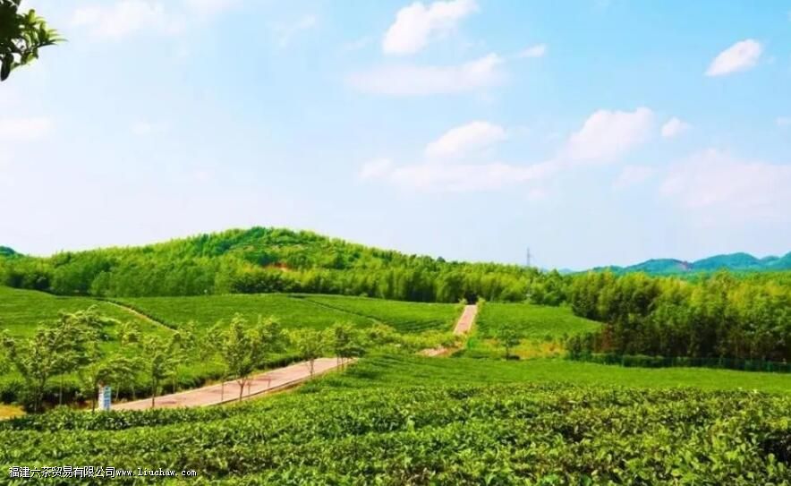 ��ש������ʲô�� ��ש����ص����