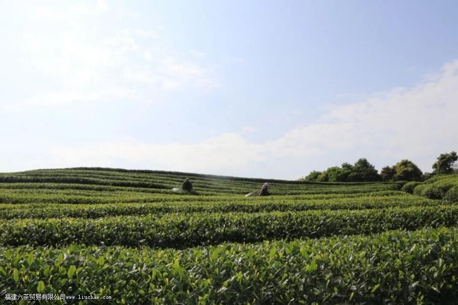 �����ʲôʱ���ժ��