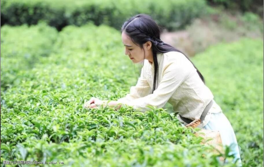 �����ʲôʱ���ժ��