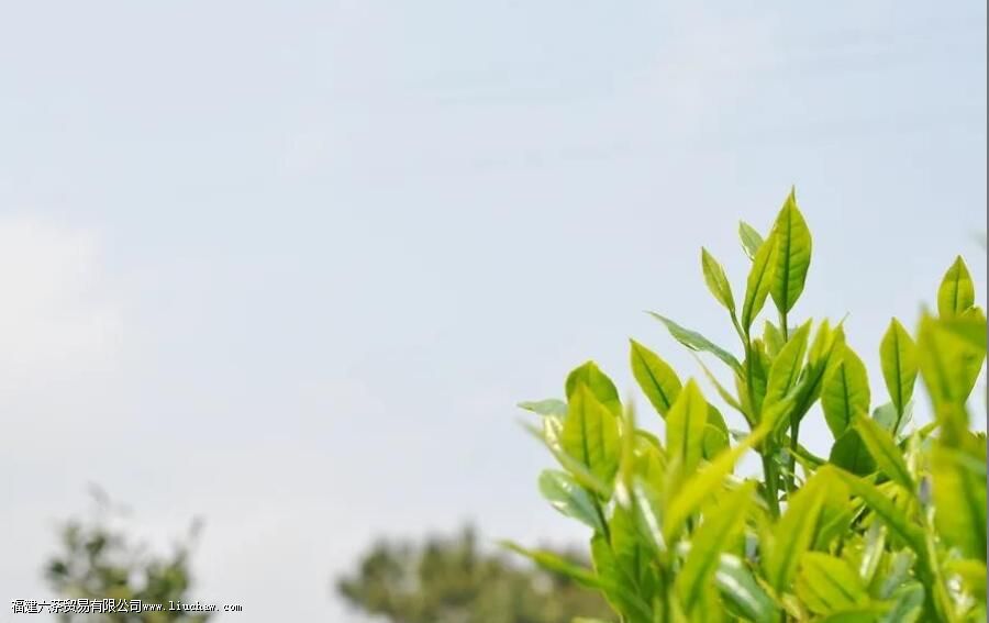 �＾�������̲���ʲô�ص�