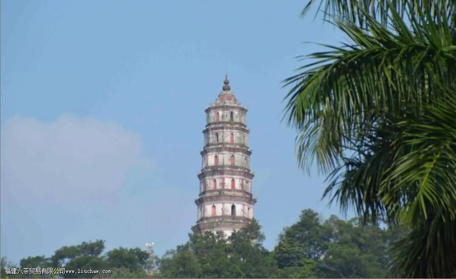 Ȧ֦�̺Ͳ�֦�̾�����ʲô Ȧ֦�̺Ͳ�֦�������