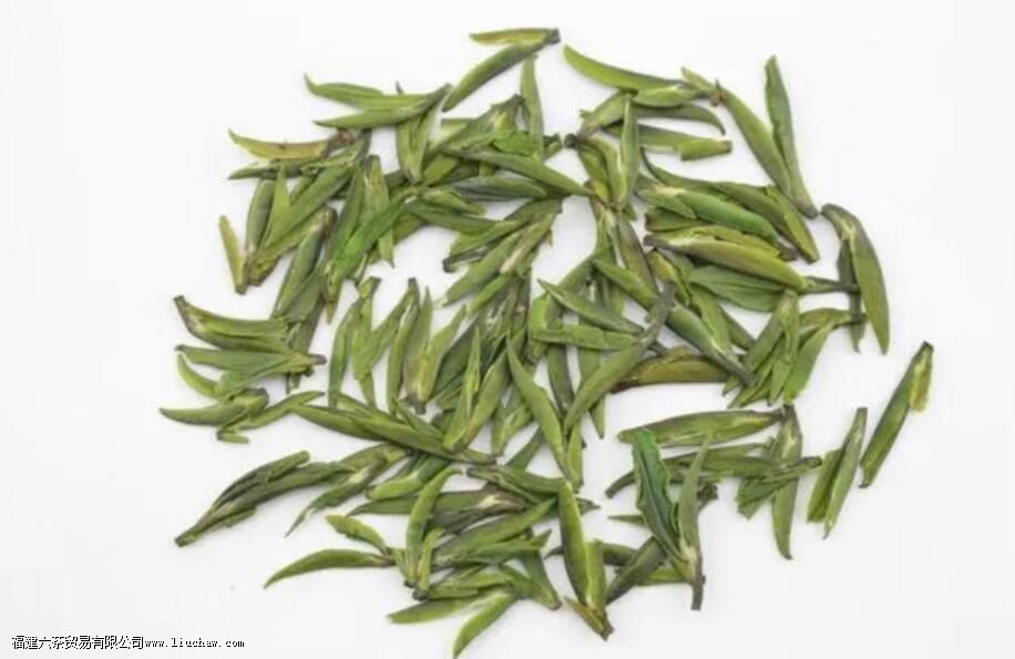 ȸ���������ʲô�ڸ�