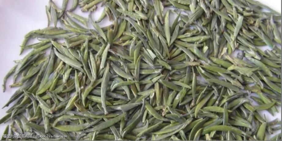 ȸ���������ʲô�ڸ�