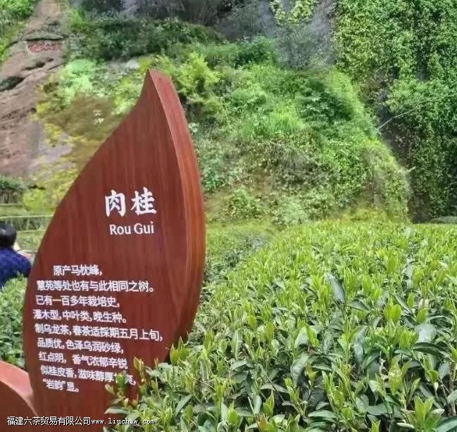 ����Ŀڸ�����