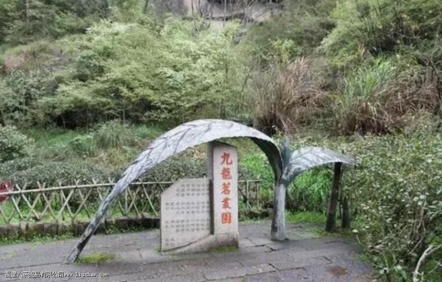 ����Ŀڸ�����